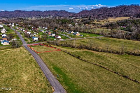 Lot 1 Dawn Lane Rogersville TN 37857