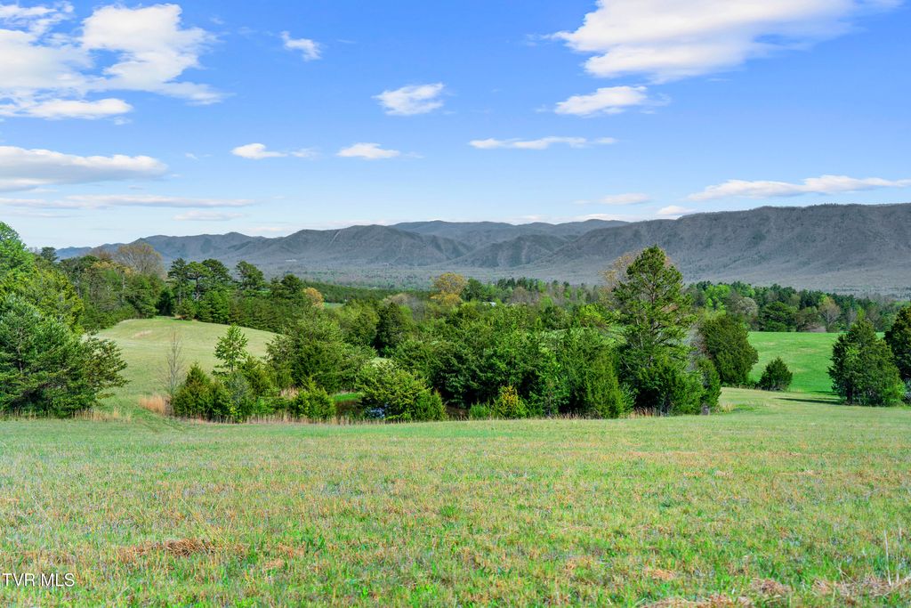 Photo of 9 Ash Meadow Drive, Greeneville, TN 37743 (MLS # 9993611)