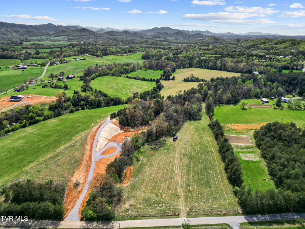 Photo of 9 Ash Meadow Drive, Greeneville, TN 37743 (MLS # 9993611)