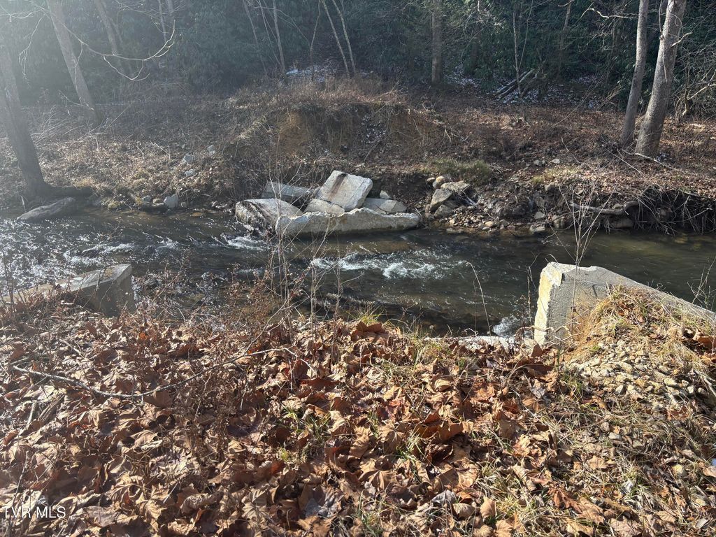 Photo of 00 Highway 91 Highway, Laurel Bloomery, TN 37680 (MLS # 9990141)