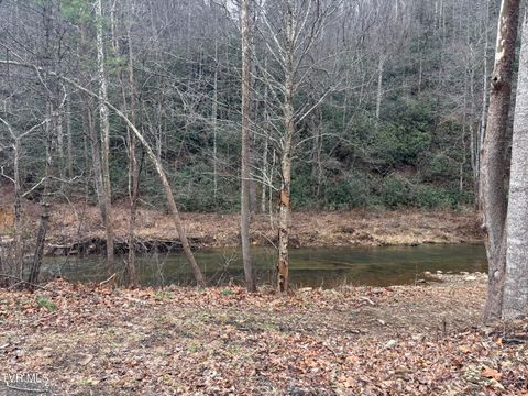 Vacant Land For Sale - 00 Highway 91 Highway<br/> Johnson County, Laurel Bloomery, TN 37680