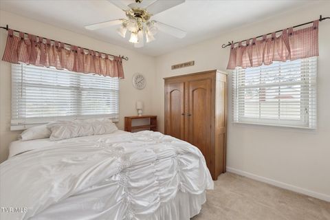 Tiny photo for 124 Apple Lane, Rogersville, TN 37857 (MLS # 9986471)