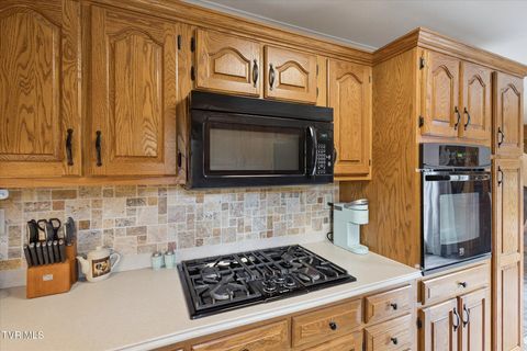 Tiny photo for 124 Apple Lane, Rogersville, TN 37857 (MLS # 9986471)