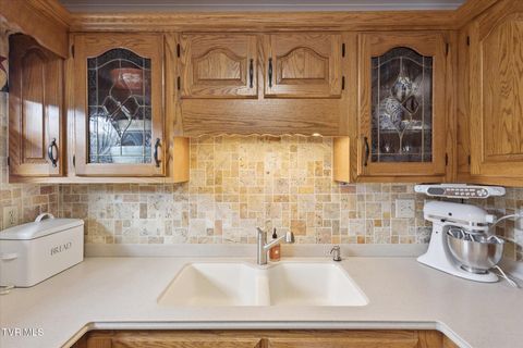 Tiny photo for 124 Apple Lane, Rogersville, TN 37857 (MLS # 9986471)