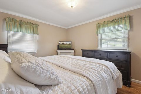 Tiny photo for 124 Apple Lane, Rogersville, TN 37857 (MLS # 9986471)