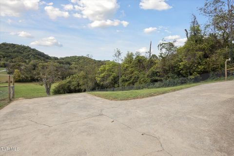 Tiny photo for 124 Apple Lane, Rogersville, TN 37857 (MLS # 9986471)