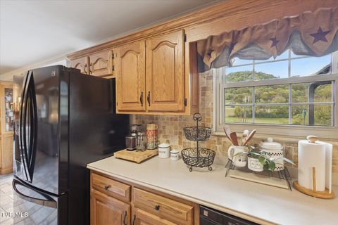 Tiny photo for 124 Apple Lane, Rogersville, TN 37857 (MLS # 9986471)