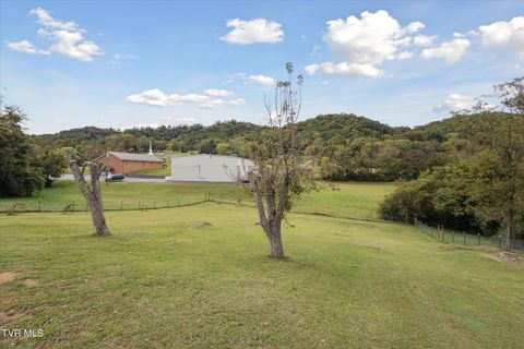 Tiny photo for 124 Apple Lane, Rogersville, TN 37857 (MLS # 9986471)