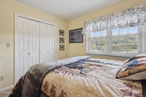 Tiny photo for 124 Apple Lane, Rogersville, TN 37857 (MLS # 9986471)