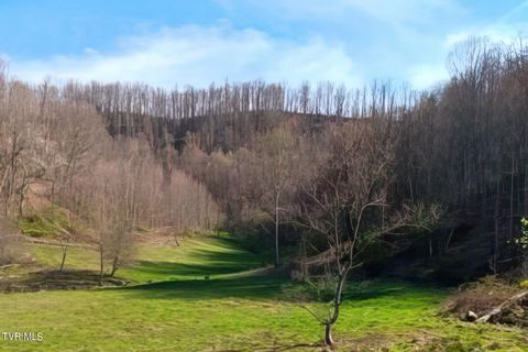 Vacant Land For Sale - TBD Miller Lane<br/> Johnson County, Trade, TN 37691