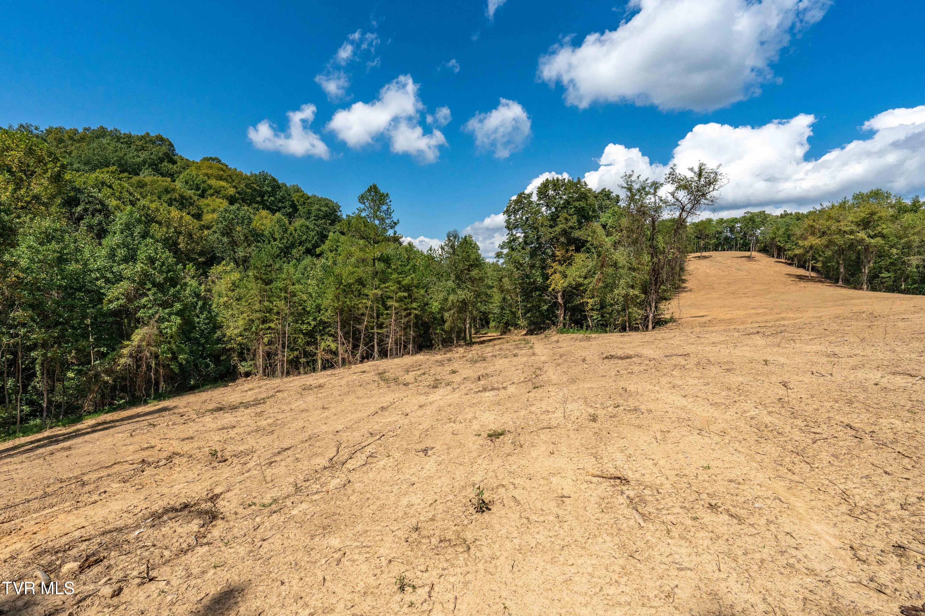 Tbd Ninny Ridge Rd, Whitesburg, Tennessee image 28
