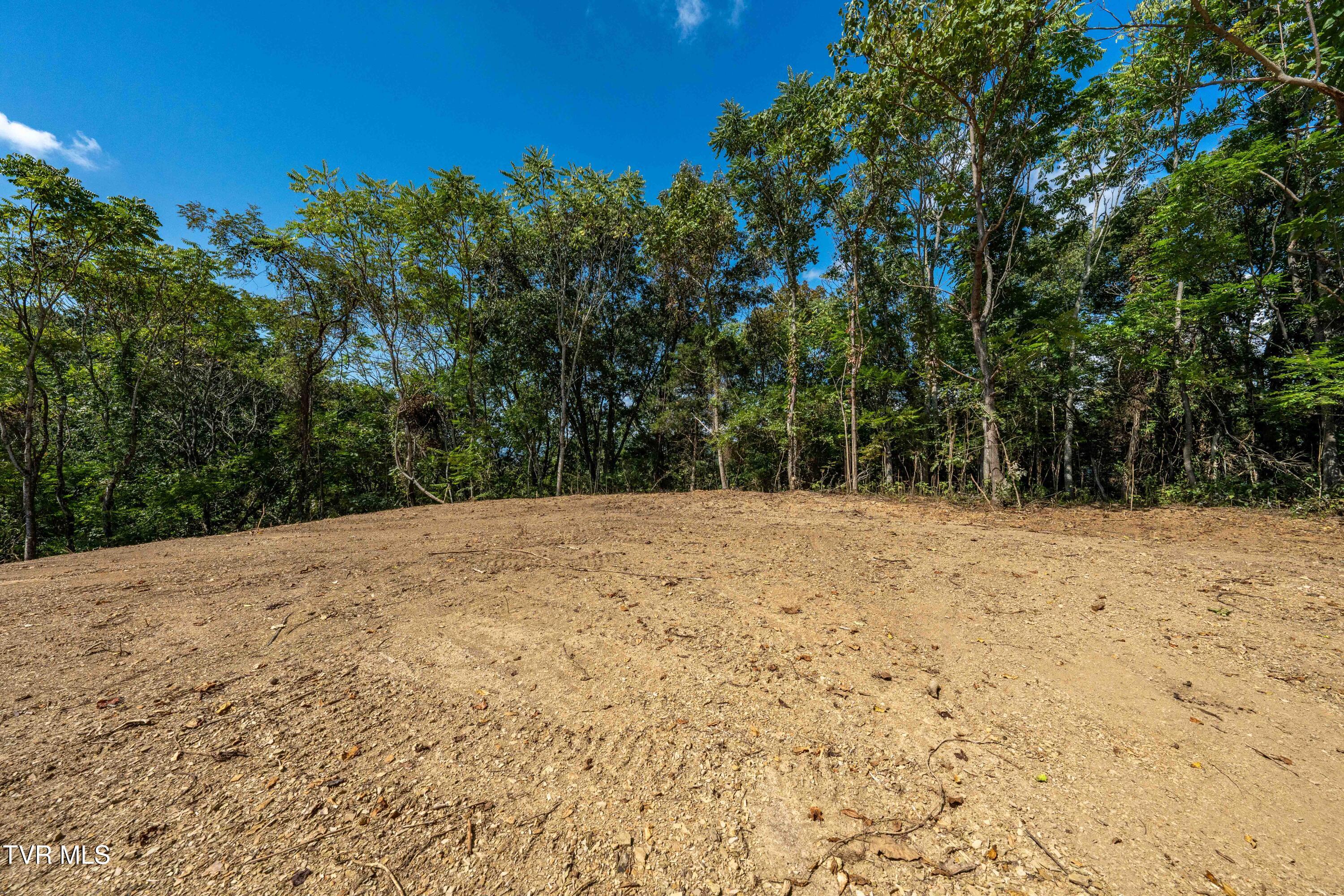 Tbd Ninny Ridge Rd, Whitesburg, Tennessee image 49