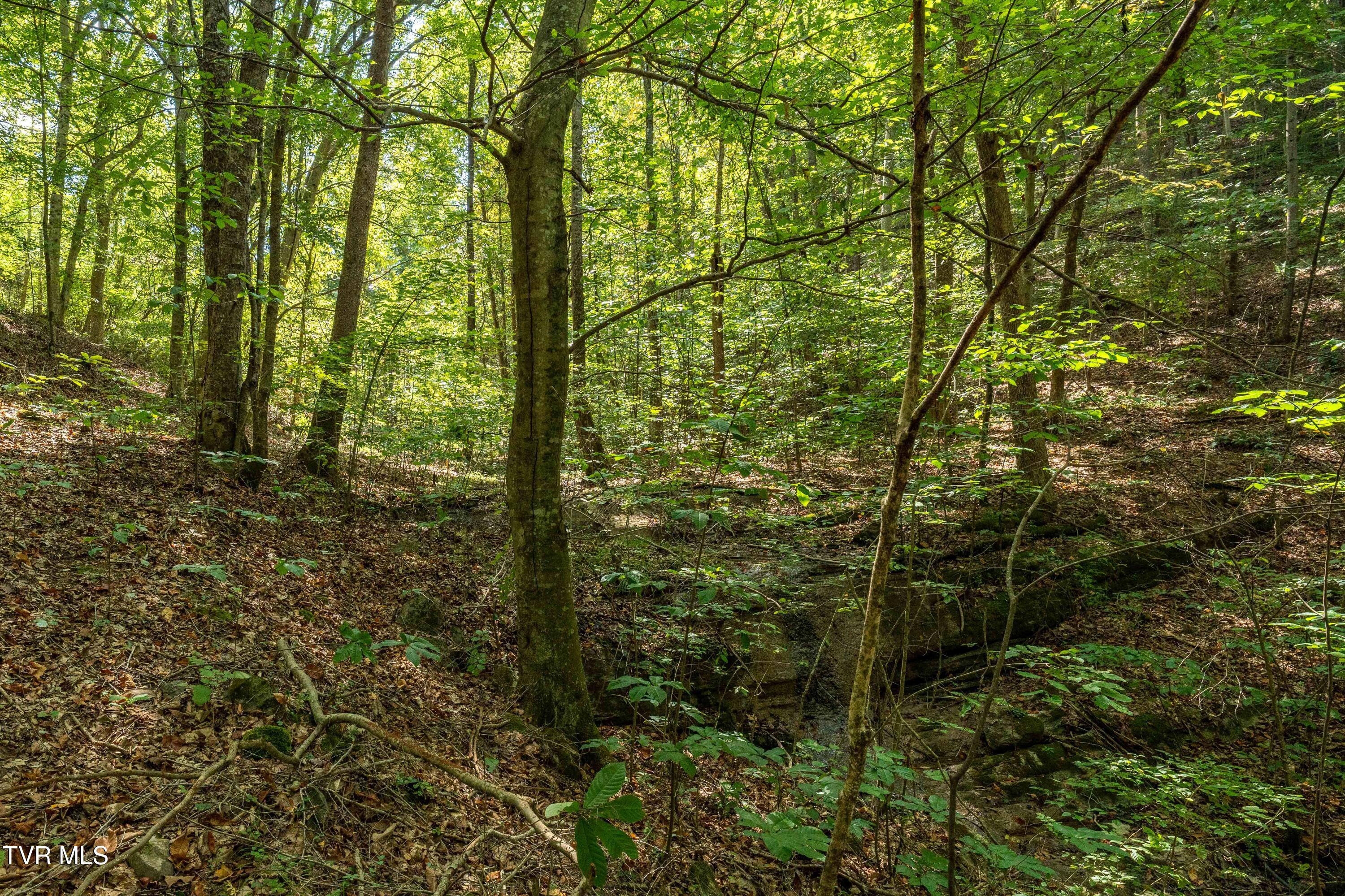 Tbd Ninny Ridge Rd, Whitesburg, Tennessee image 21