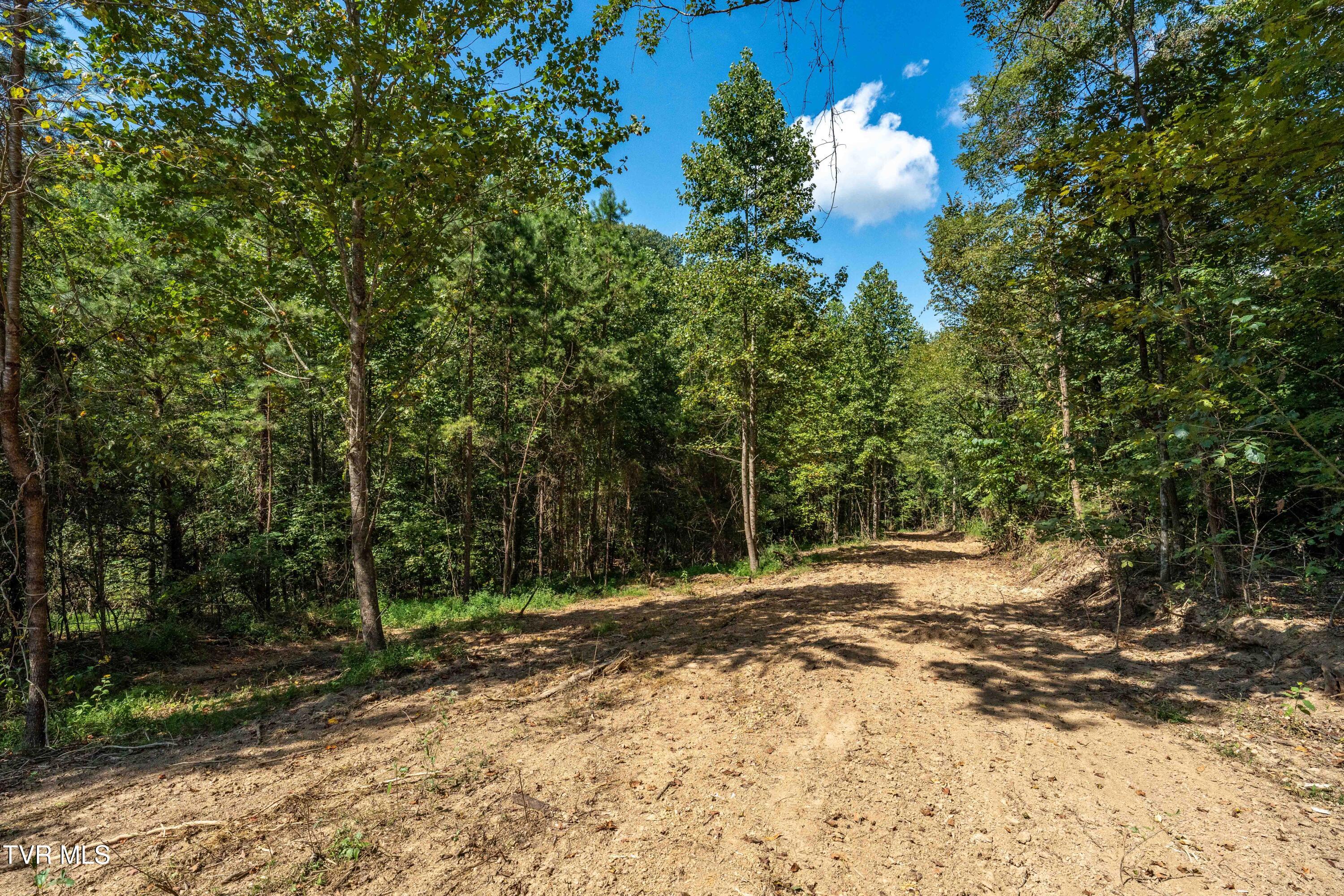 Tbd Ninny Ridge Rd, Whitesburg, Tennessee image 16