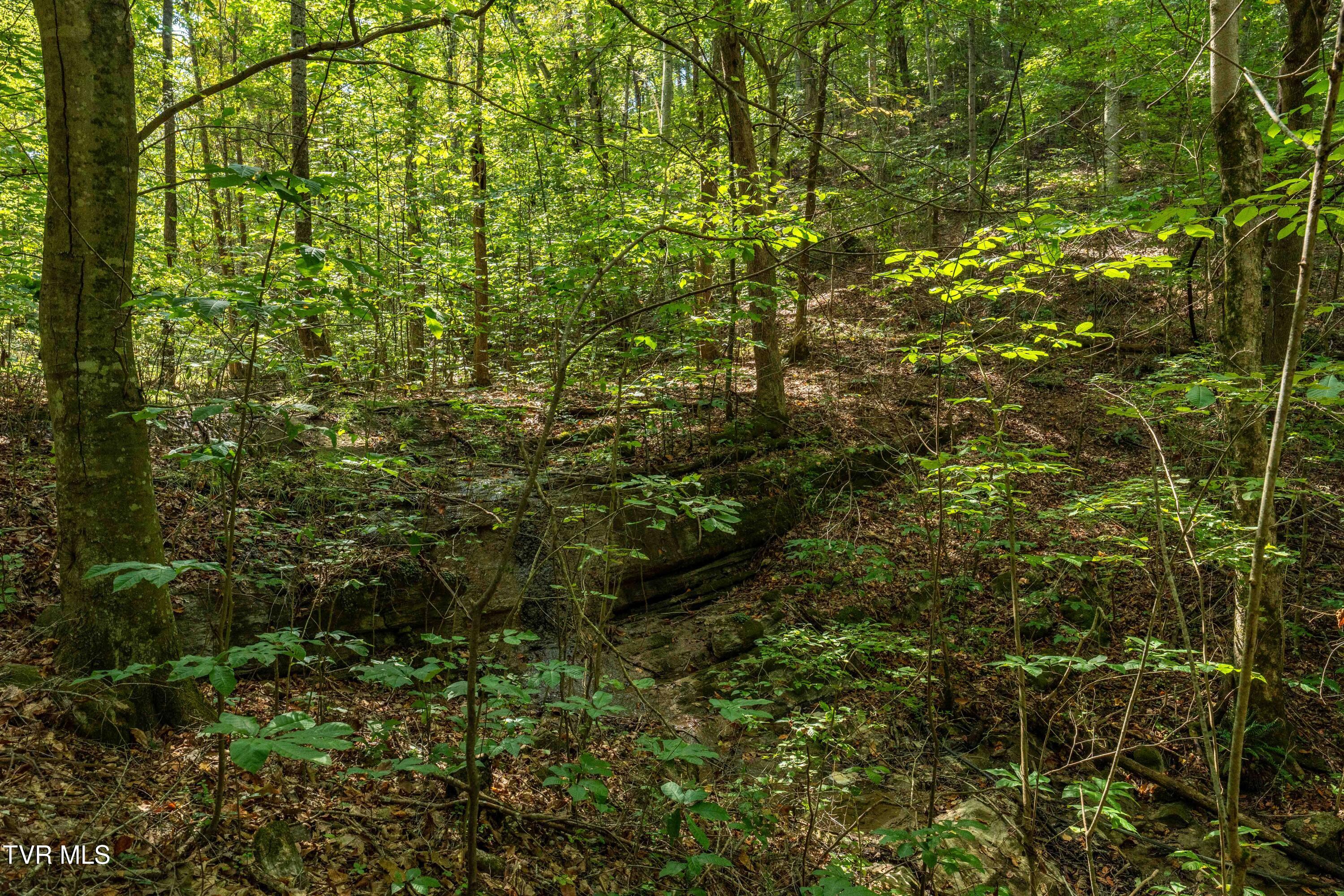 Tbd Ninny Ridge Rd, Whitesburg, Tennessee image 20