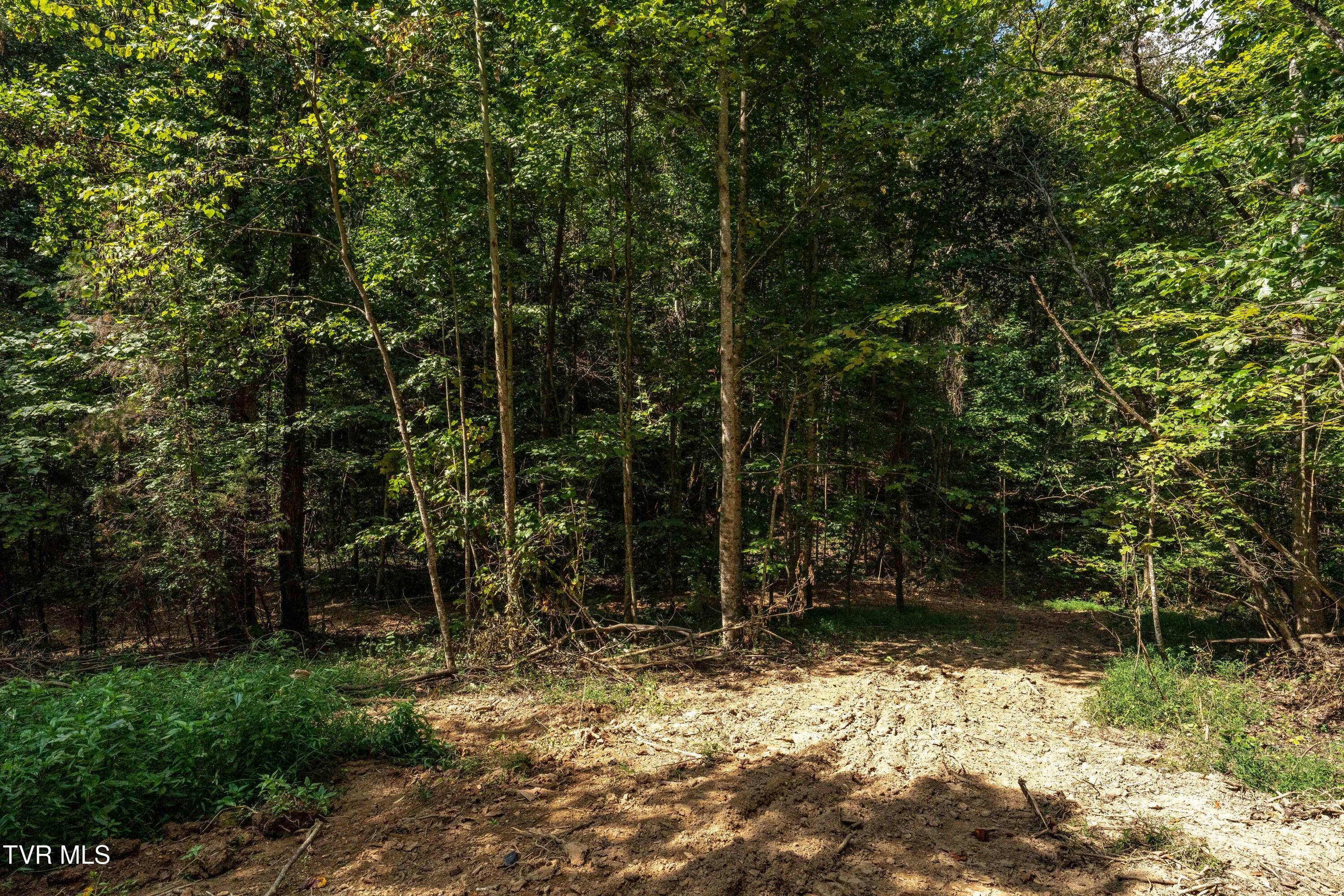 Tbd Ninny Ridge Rd, Whitesburg, Tennessee image 17
