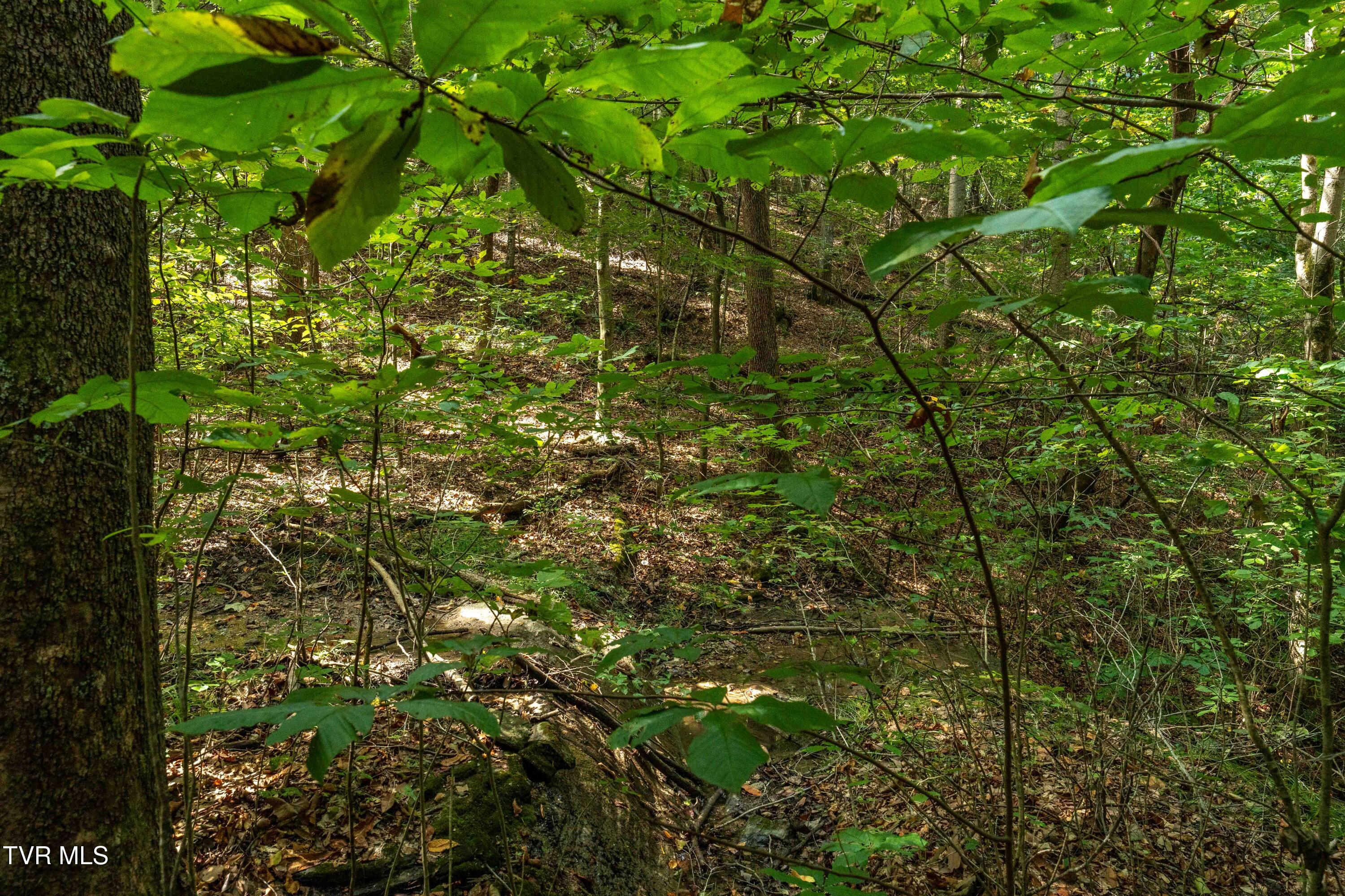 Tbd Ninny Ridge Rd, Whitesburg, Tennessee image 23