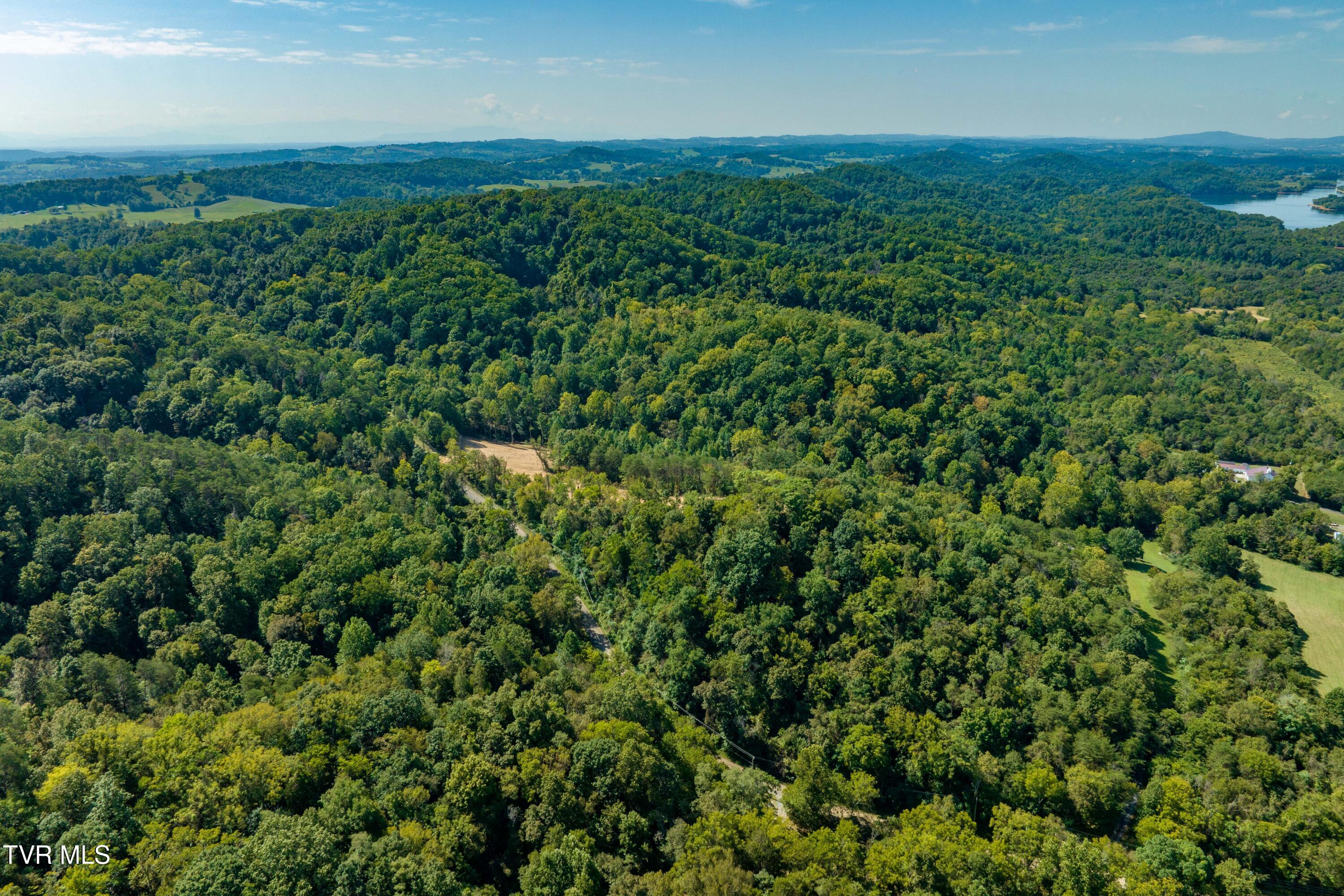 Tbd Ninny Ridge Rd, Whitesburg, Tennessee image 7