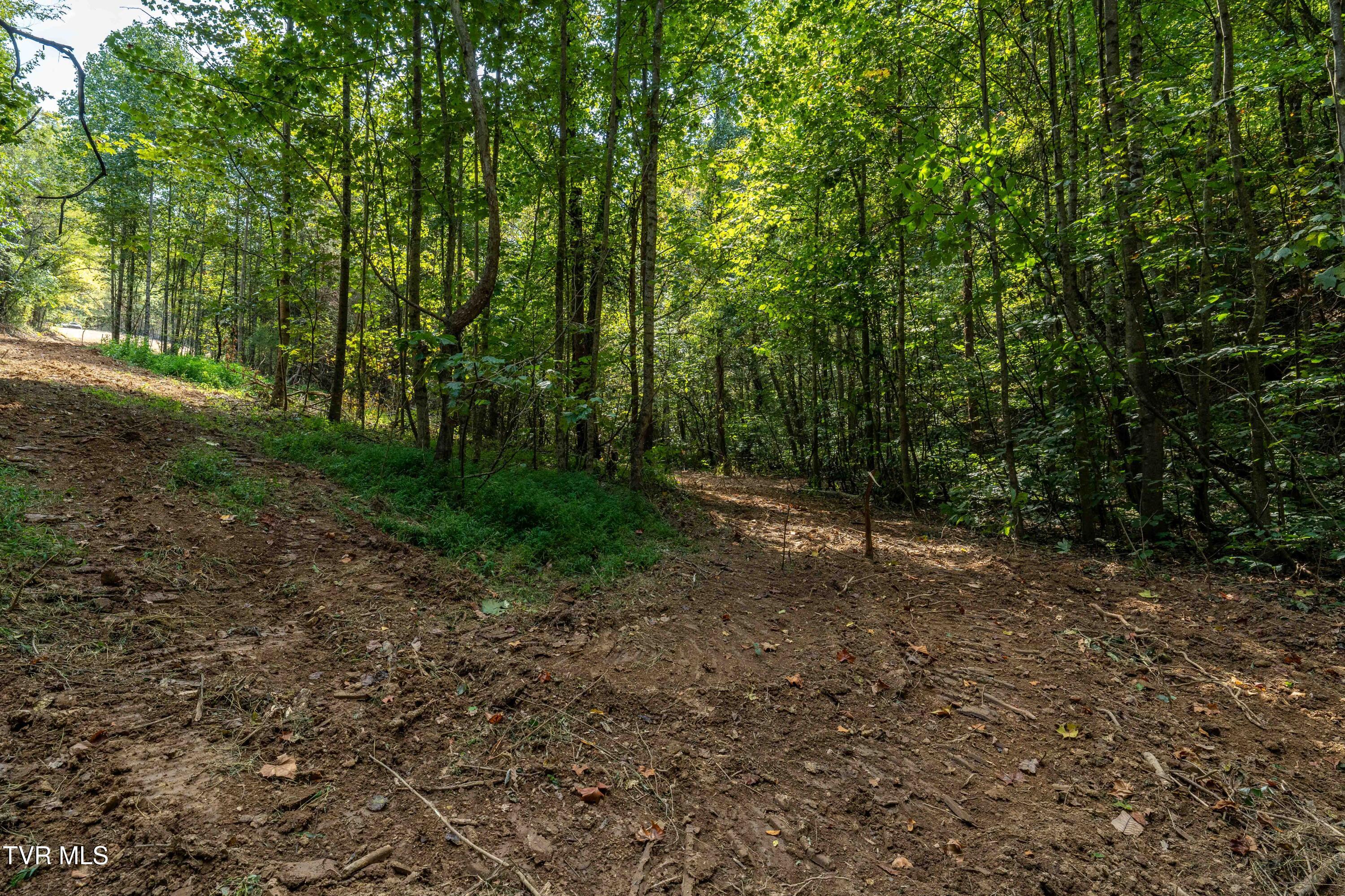 Tbd Ninny Ridge Rd, Whitesburg, Tennessee image 26