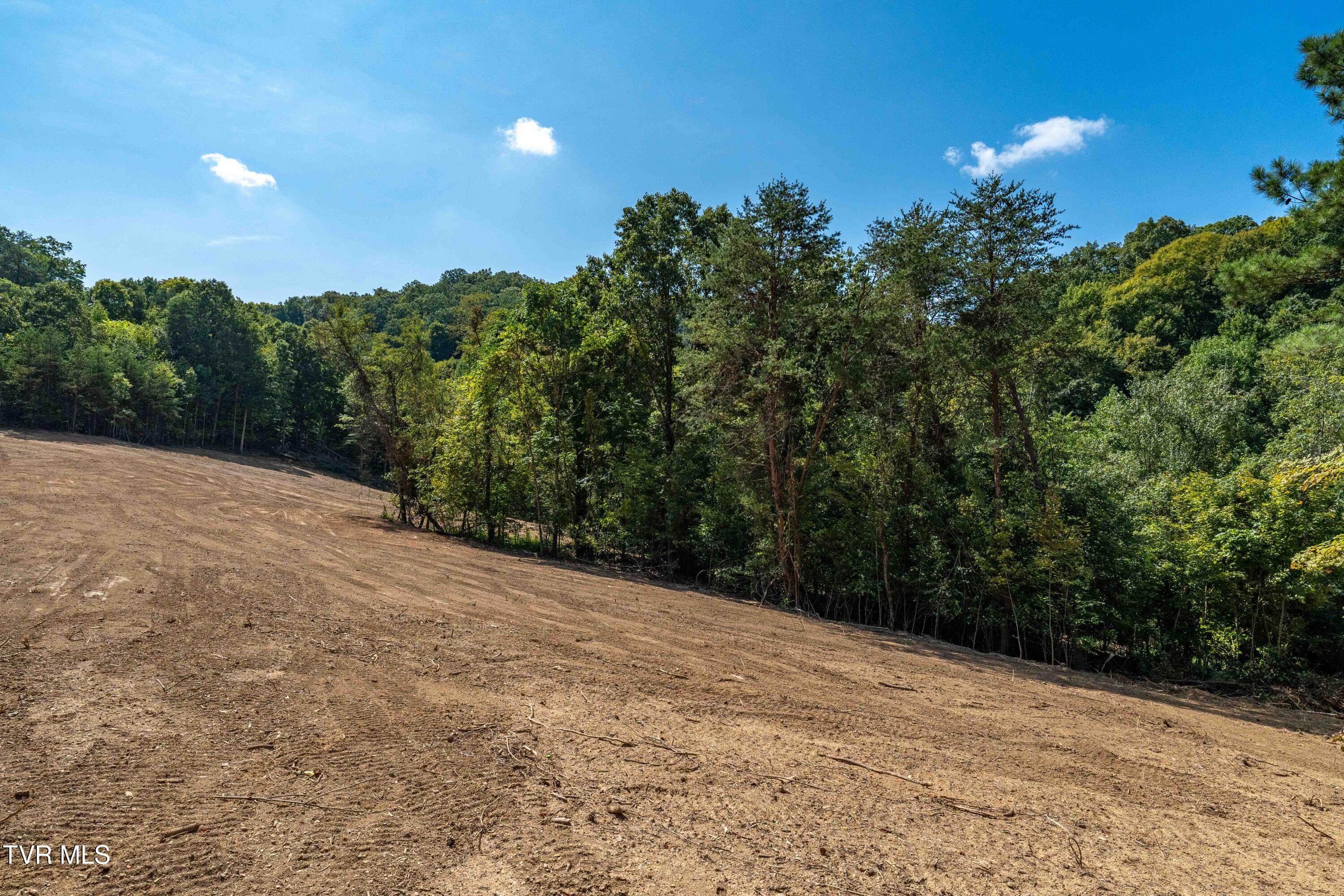 Tbd Ninny Ridge Rd, Whitesburg, Tennessee image 13