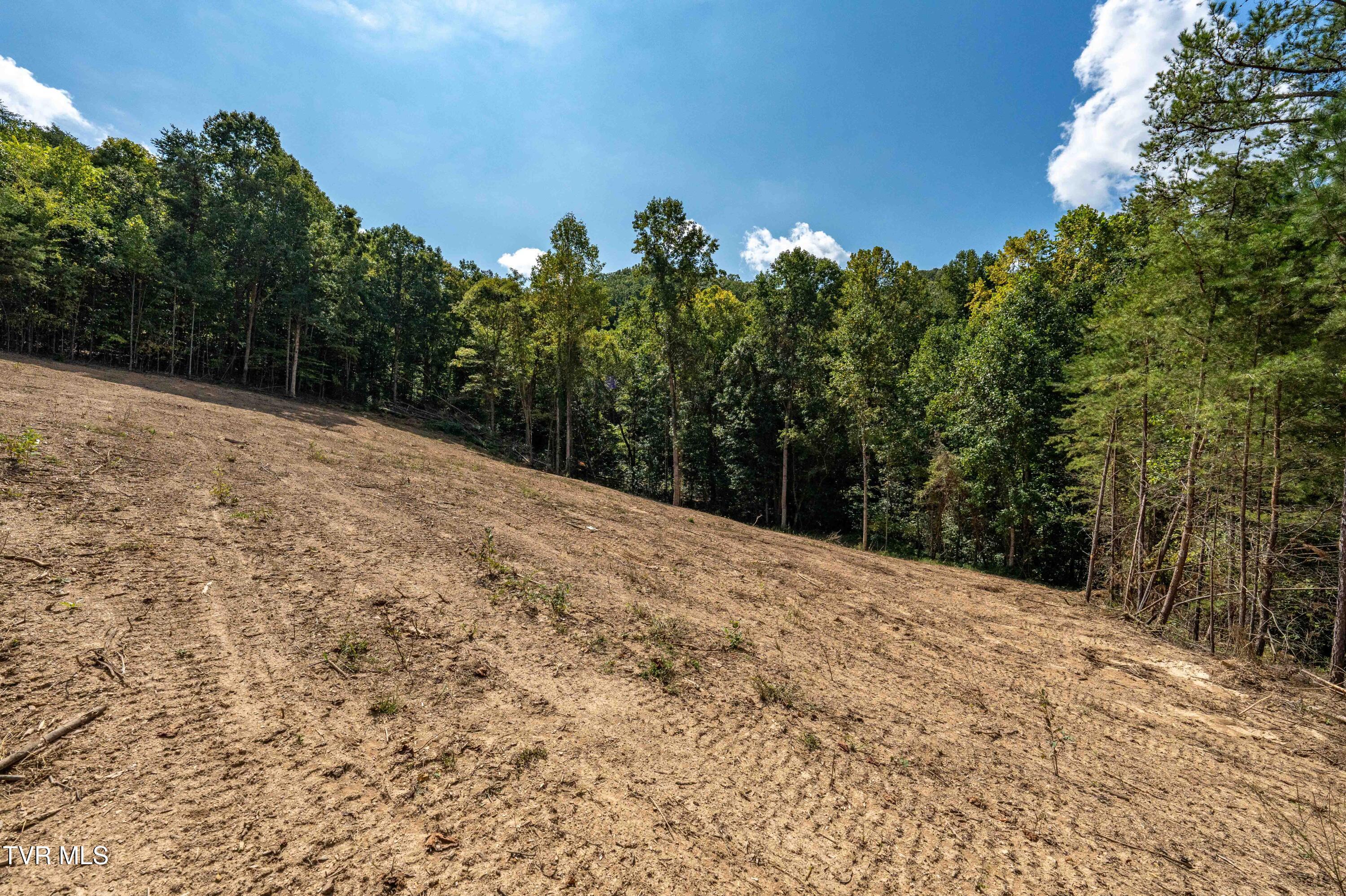 Tbd Ninny Ridge Rd, Whitesburg, Tennessee image 27