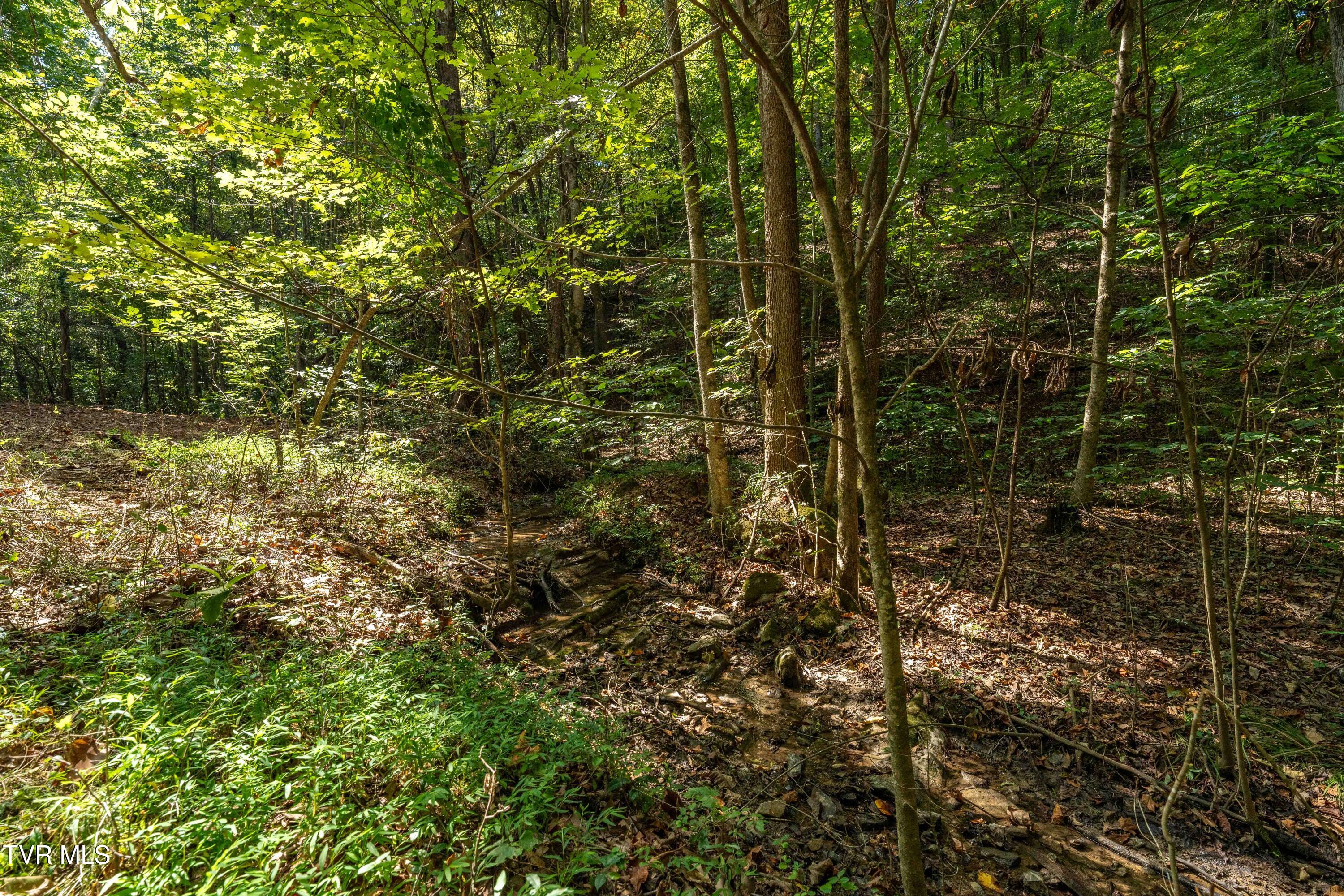 Tbd Ninny Ridge Rd, Whitesburg, Tennessee image 18