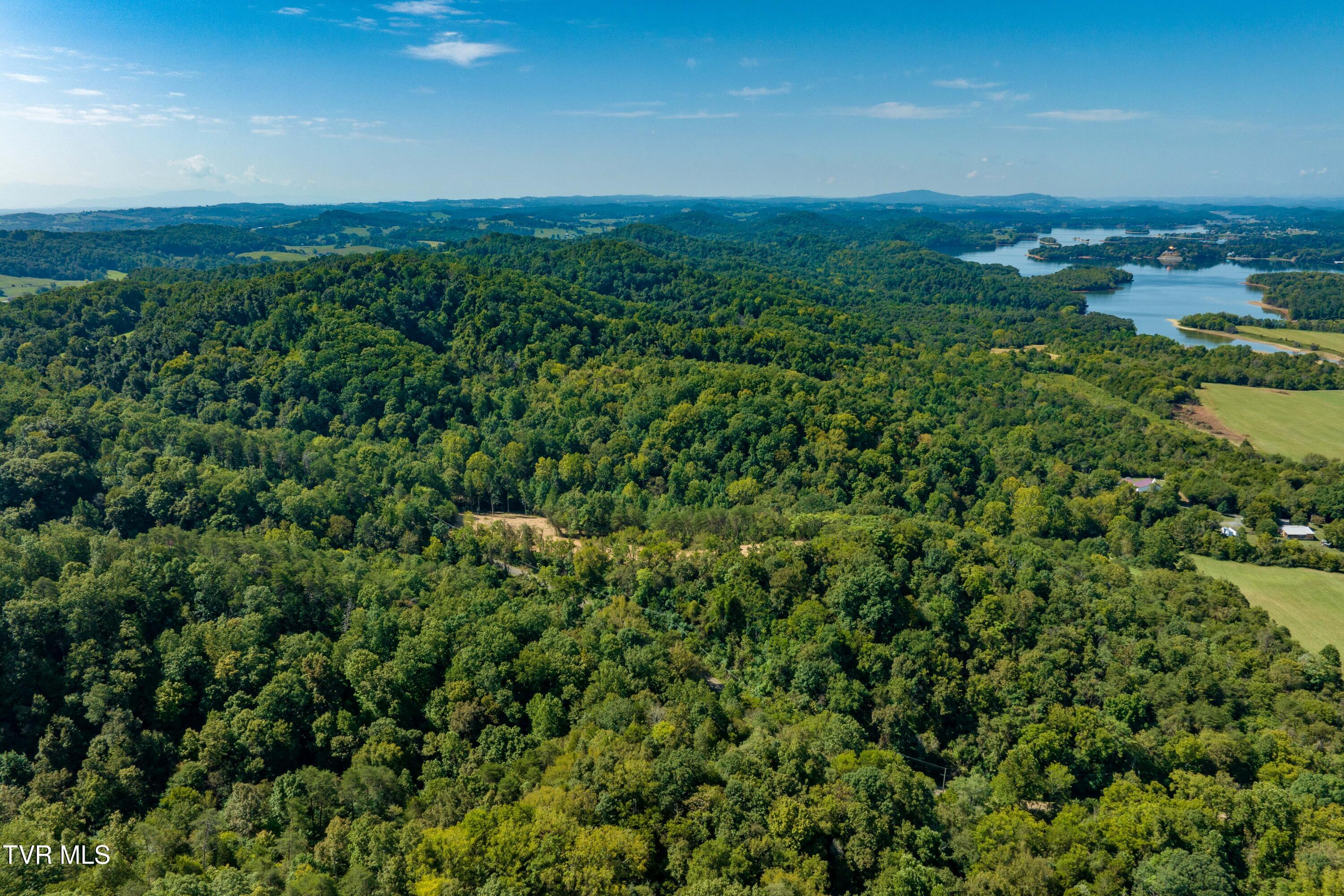 Tbd Ninny Ridge Rd, Whitesburg, Tennessee image 12