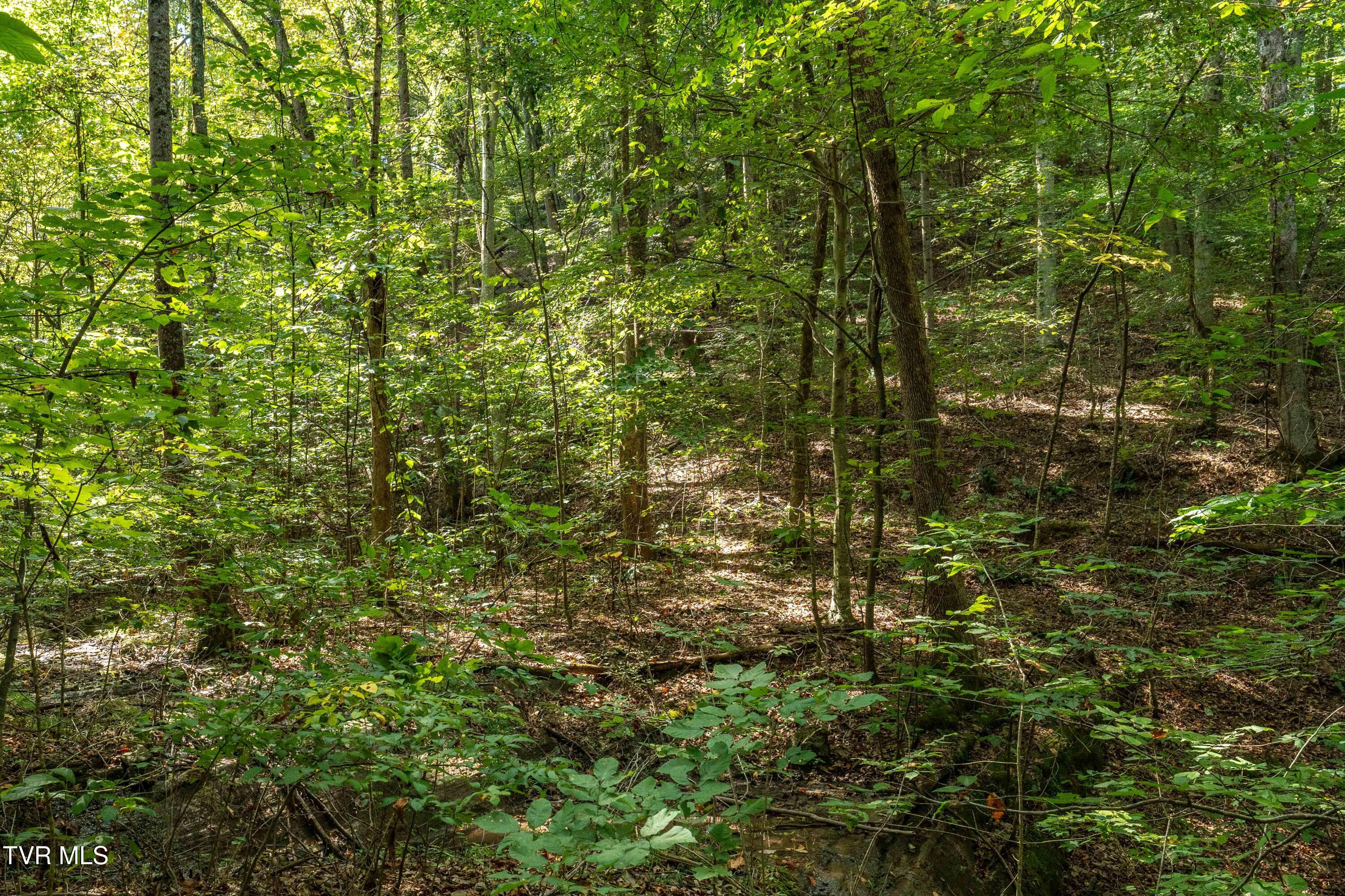 Tbd Ninny Ridge Rd, Whitesburg, Tennessee image 22