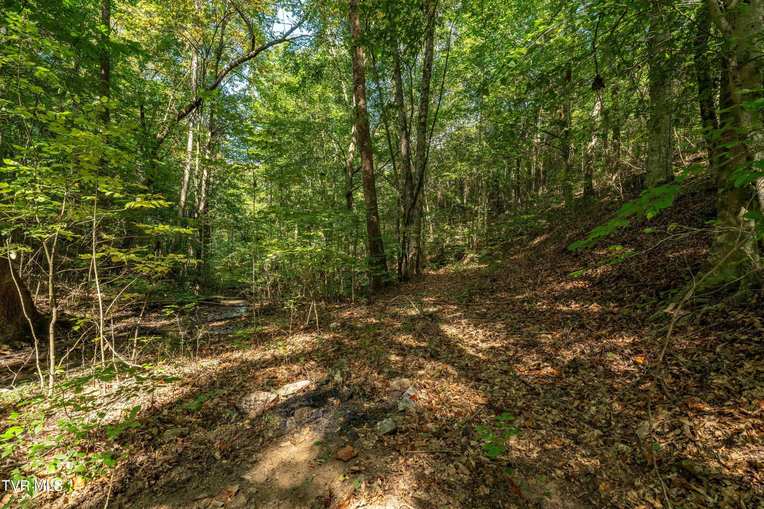 Tbd Ninny Ridge Rd, Whitesburg, Tennessee image 19