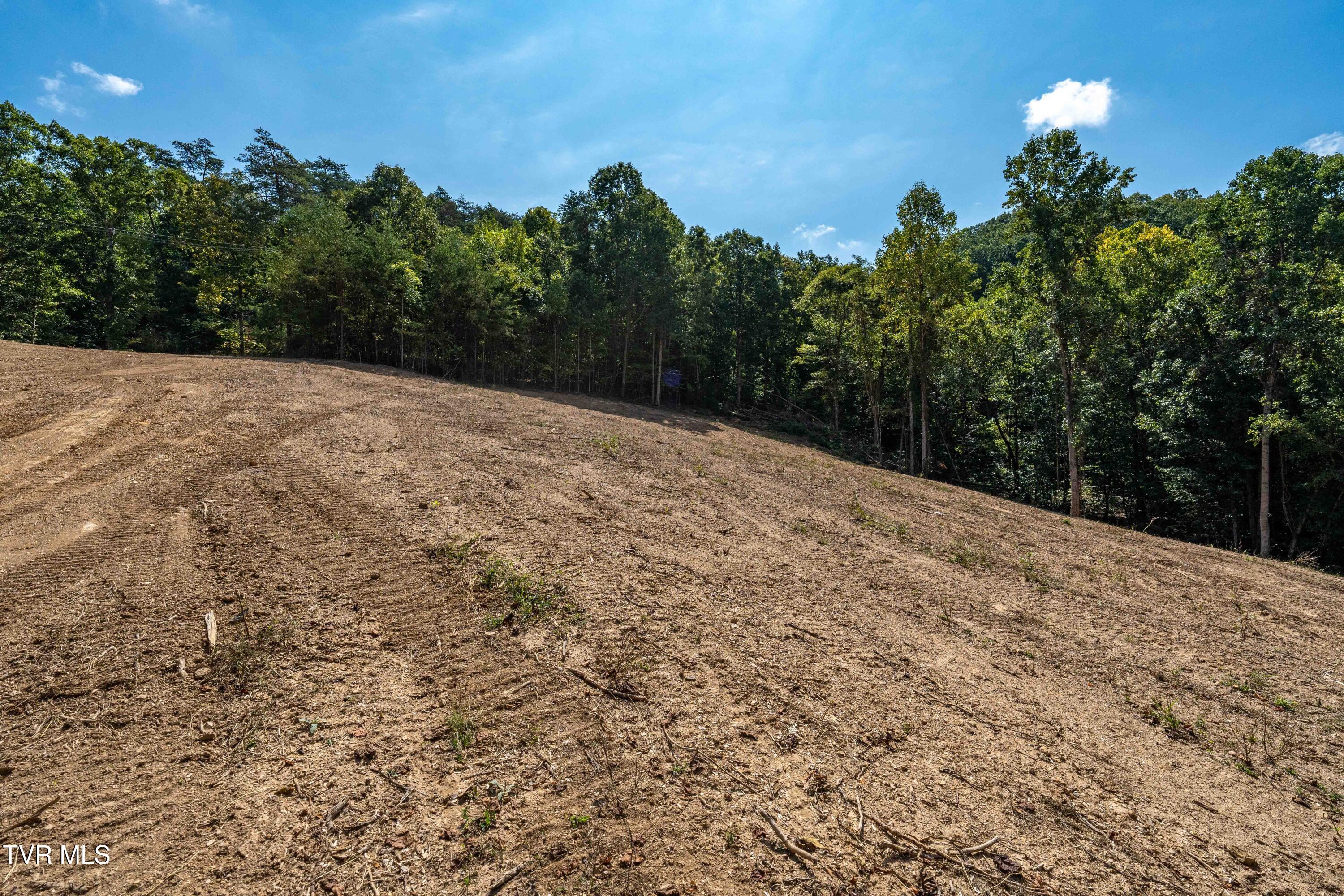 Tbd Ninny Ridge Rd, Whitesburg, Tennessee image 15