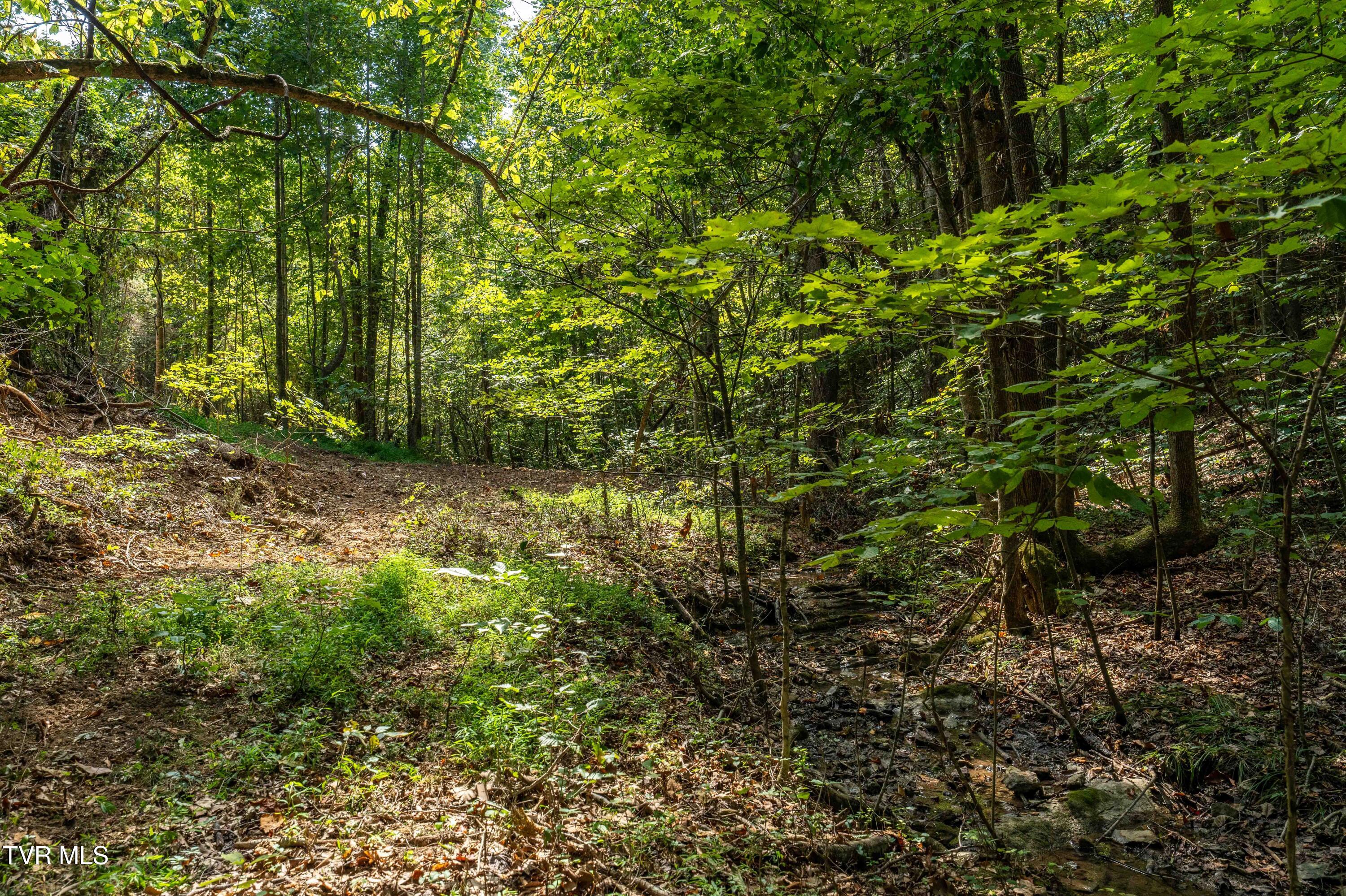 Tbd Ninny Ridge Rd, Whitesburg, Tennessee image 25