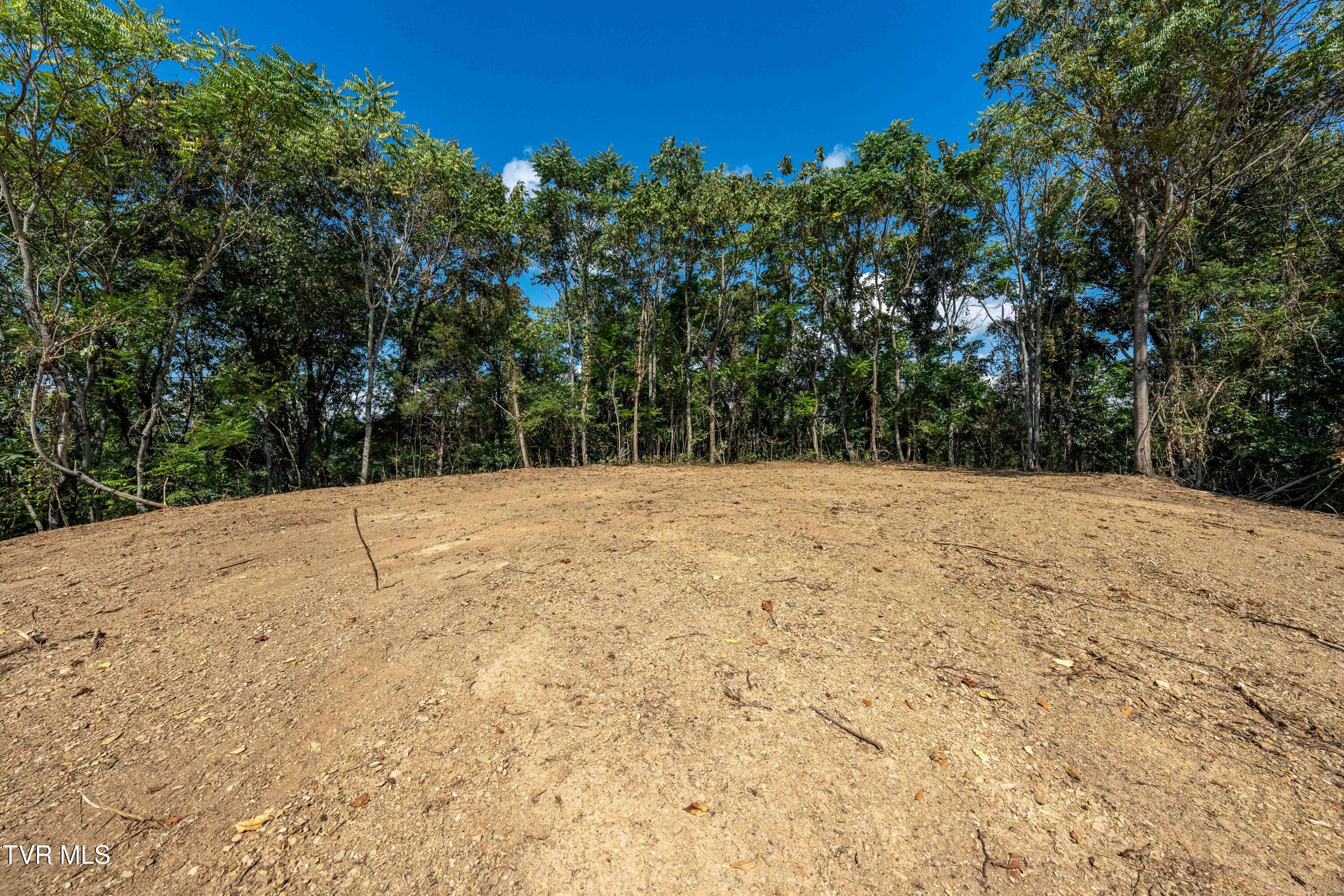 Tbd Ninny Ridge Rd, Whitesburg, Tennessee image 48