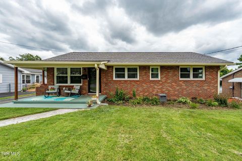 Photo of 311 Greenway Drive, Johnson City, TN 37604 (MLS # 9989160)