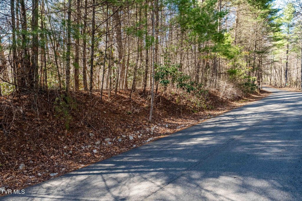 Photo of 39 Bear Ridge Drive, Butler, TN 37640 (MLS # 9993361)