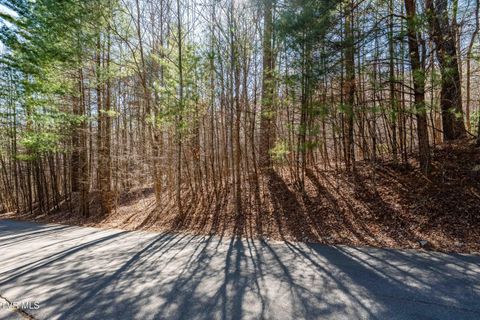Vacant Land For Sale - LOT 39 Bear Ridge Drive<br/> Carter County, Butler, TN 37640