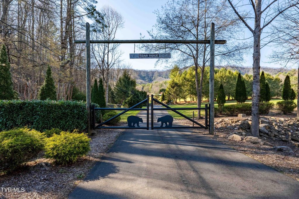 Photo of 39 Bear Ridge Drive, Butler, TN 37640 (MLS # 9993361)