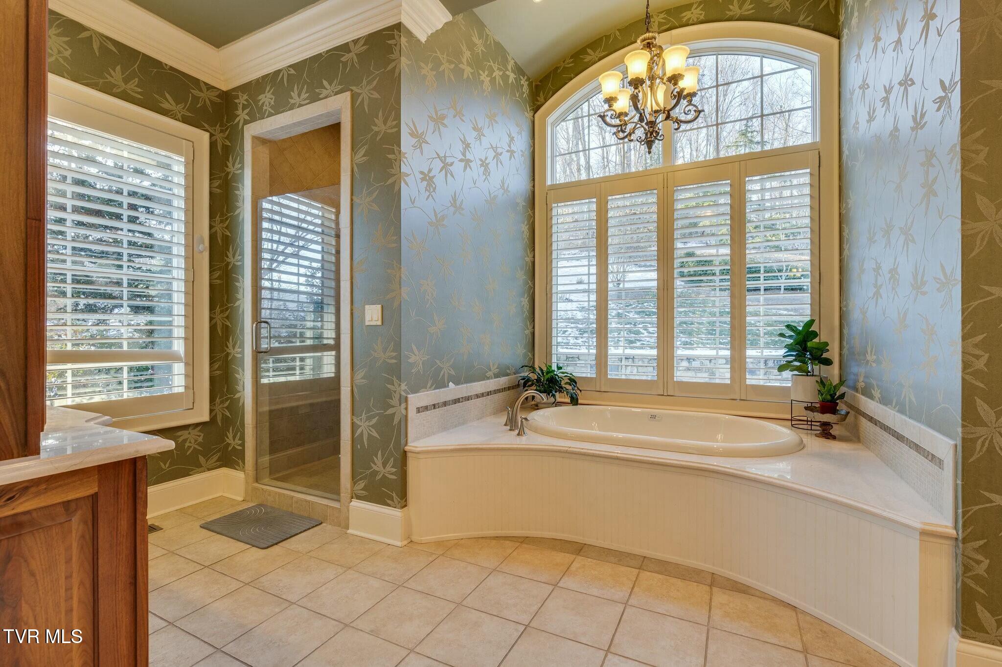 220 Trinity Ridge Drive, Gate City, Virginia image 39