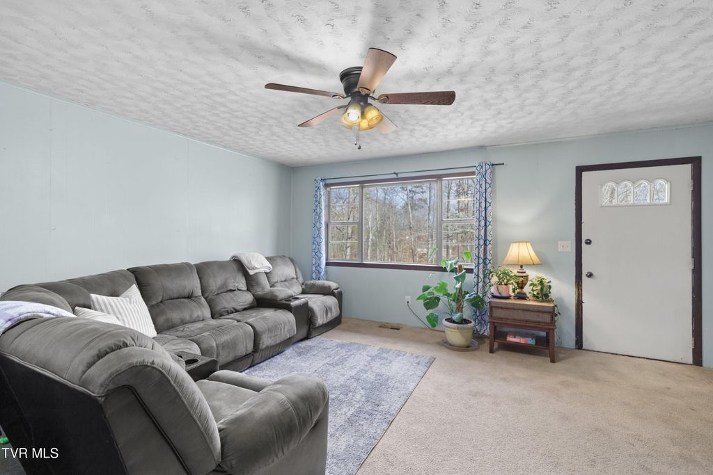 Photo of 211 Shady Lane Avenue, Rogersville, TN 37857 (MLS # 9989069)