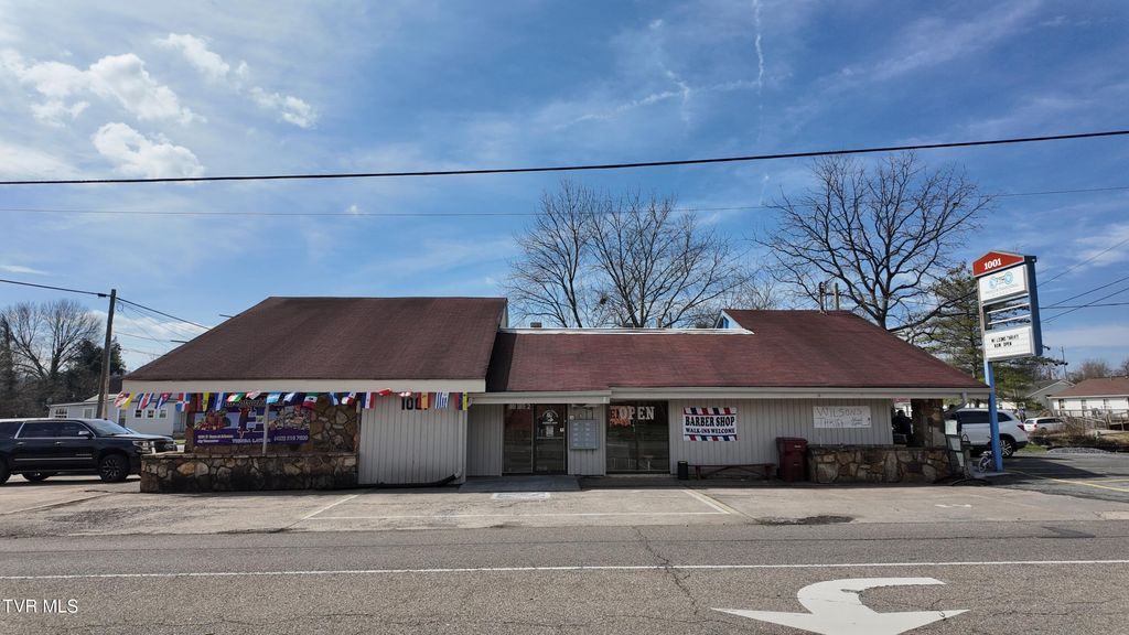 Photo of 1001 Roan Street, Johnson City, TN 37601 (MLS # 9991948)