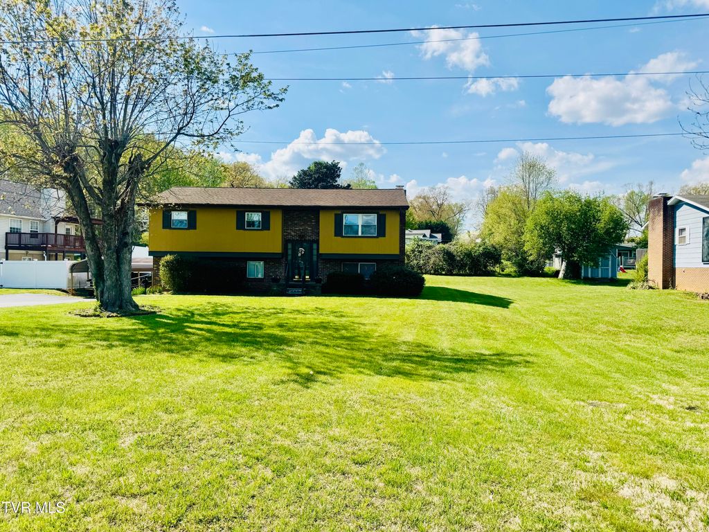 Photo of 1303 10th Avenue, Johnson City, TN 37601 (MLS # 9993781)