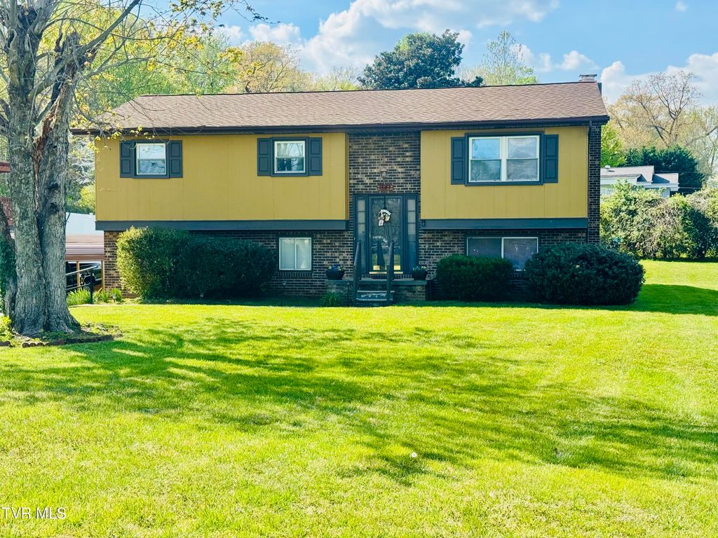 Photo of 1303 10th Avenue, Johnson City, TN 37601 (MLS # 9993781)