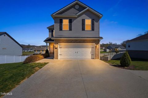 Photo of 1512 College Street, Jonesborough, TN 37659 (MLS # 9993360)