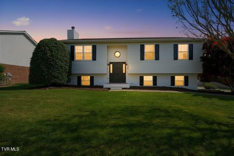 Photo of 200 Crystal Springs Circle, Johnson City, TN 37615 (MLS # 9993989)