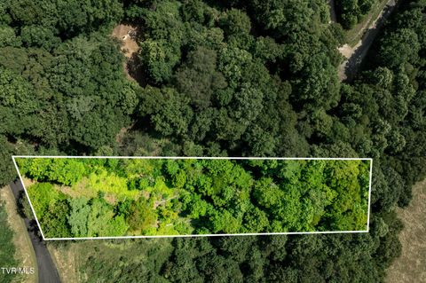 Vacant Land For Sale - LOT 32 Lake Ridge Road<br/> Johnson County, Butler, TN 37640