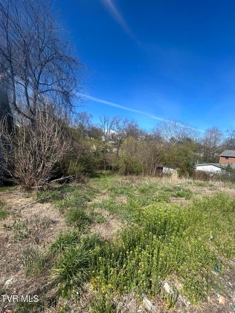 Vacant Land For Sale - 14 Norfolk Avenue<br/> Bristol, VA 24201