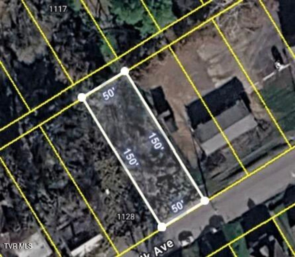 Photo of 14 Norfolk Avenue, Bristol, VA 24201 (MLS # 9992855)