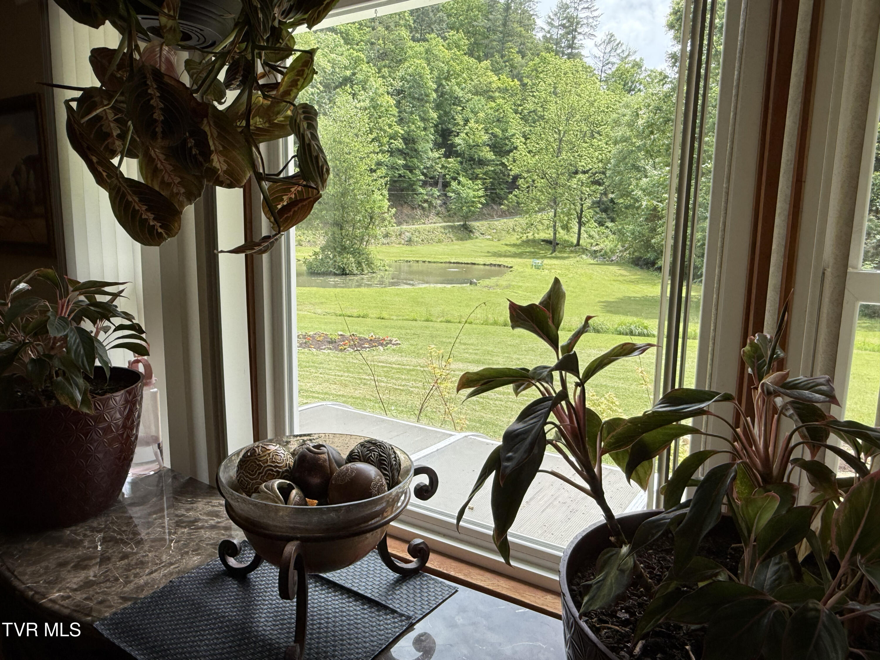 24483 Cave Creek Road, Abingdon, Virginia image 37