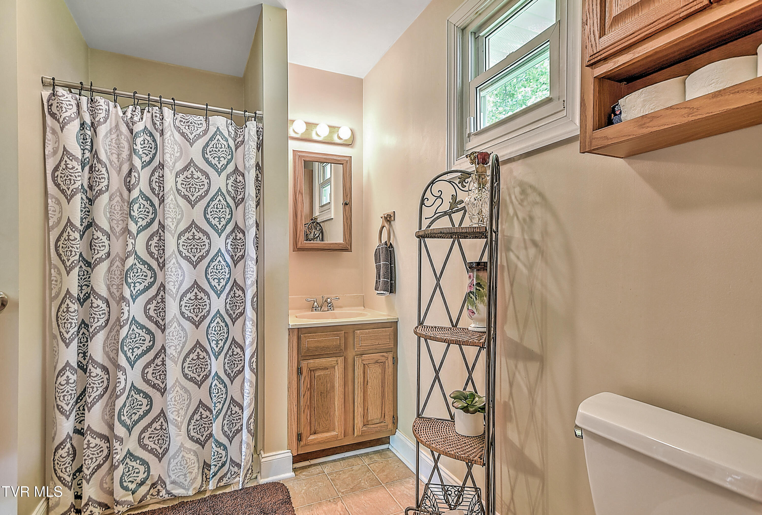 24483 Cave Creek Road, Abingdon, Virginia image 42