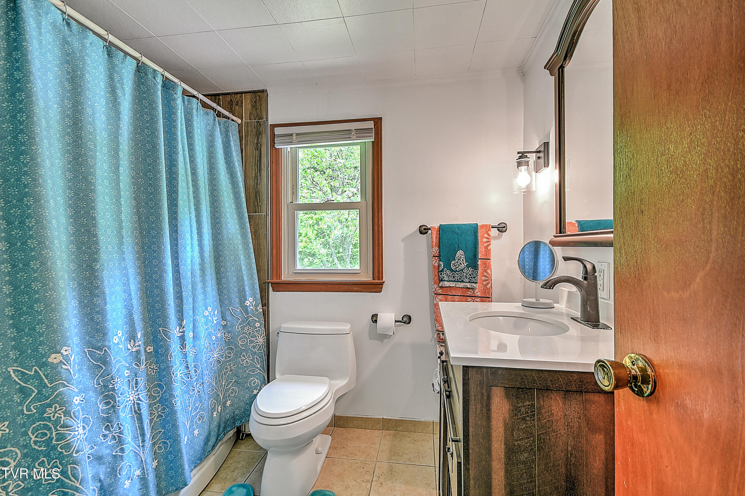 24483 Cave Creek Road, Abingdon, Virginia image 50