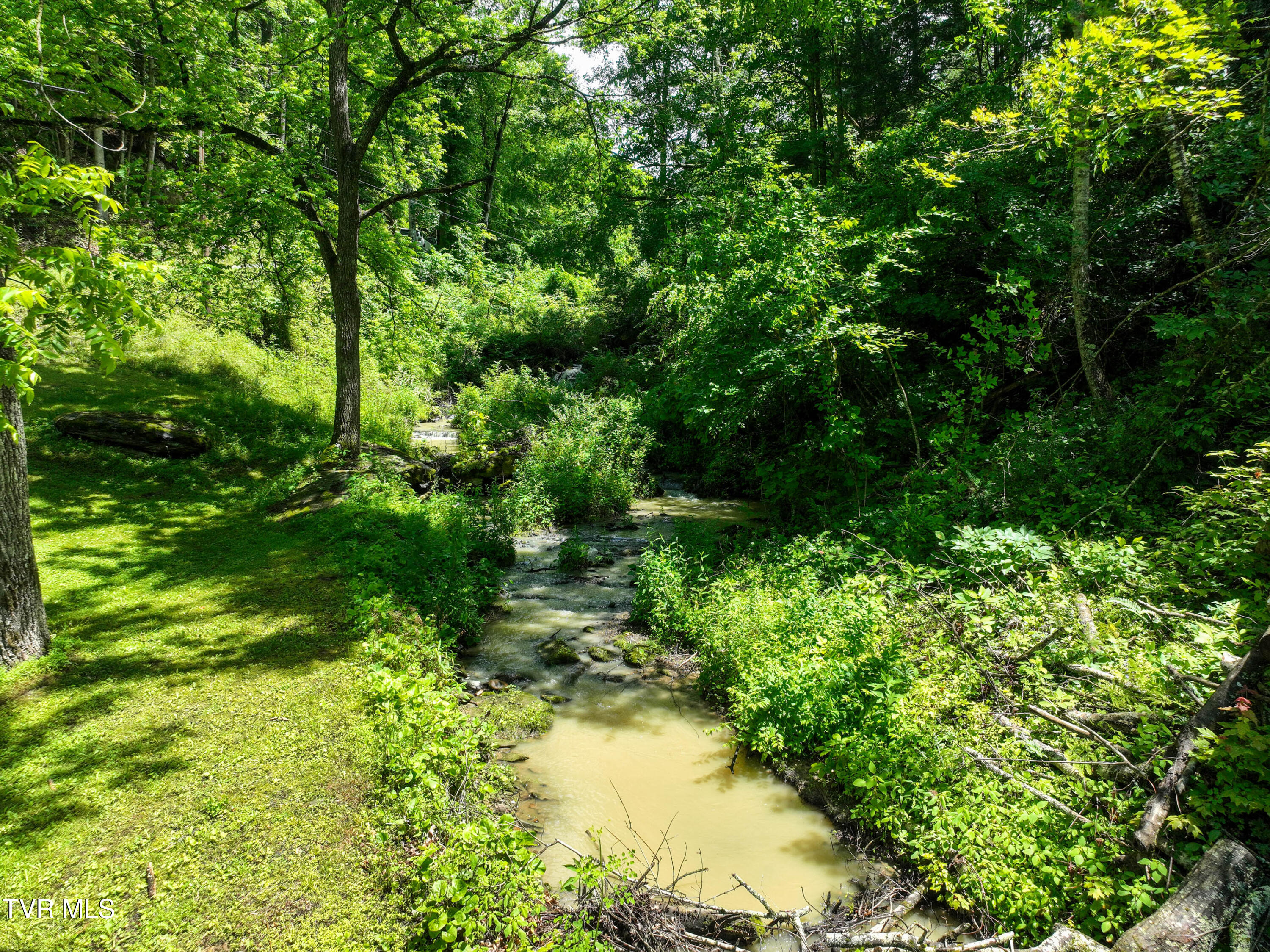 24483 Cave Creek Road, Abingdon, Virginia image 4